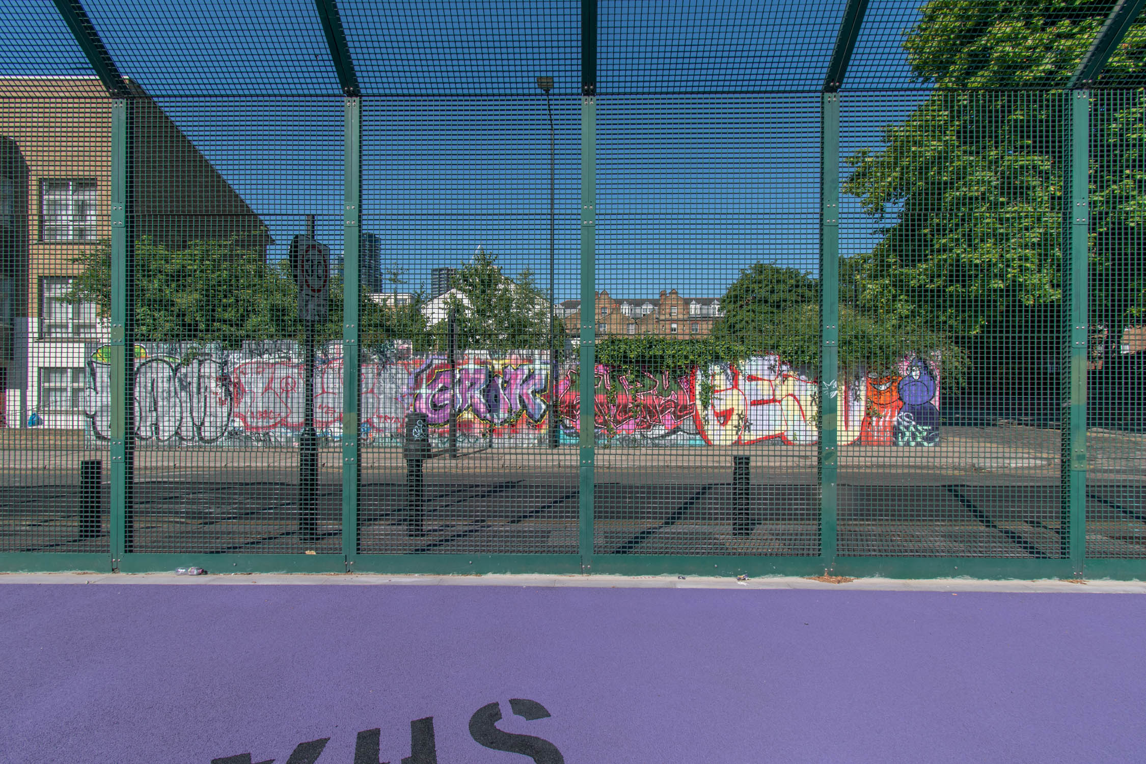 Purple on sale basketball court